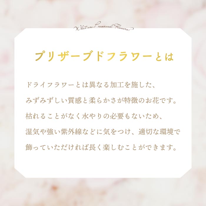 枯れない薔薇のプリザーブドフラワーBOX 母の日や誕生日ギフトに最適◎