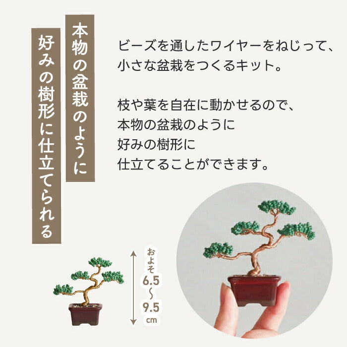 【楽天1位】ネジッテBONSAIキット 初心者OKのワイヤーアート盆栽 手作り体験に◎ おしゃれなインテリア&知育クラフト