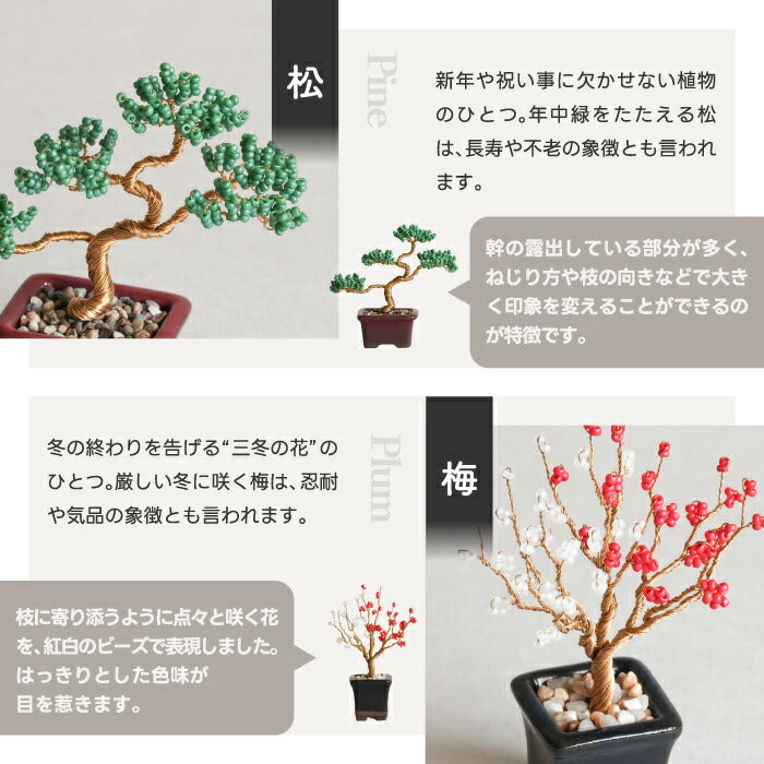 【楽天1位】ネジッテBONSAIキット 初心者OKのワイヤーアート盆栽 手作り体験に◎ おしゃれなインテリア&知育クラフト