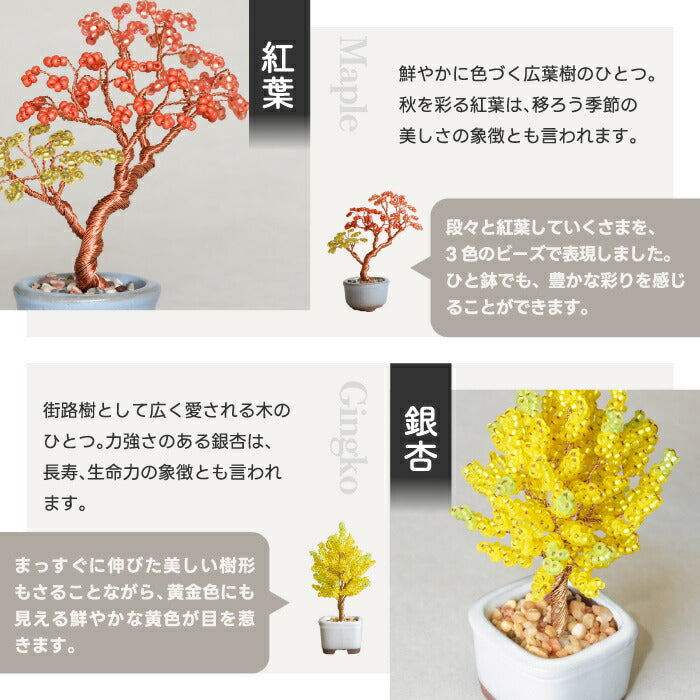 【楽天1位】ネジッテBONSAIキット 初心者OKのワイヤーアート盆栽 手作り体験に◎ おしゃれなインテリア&知育クラフト