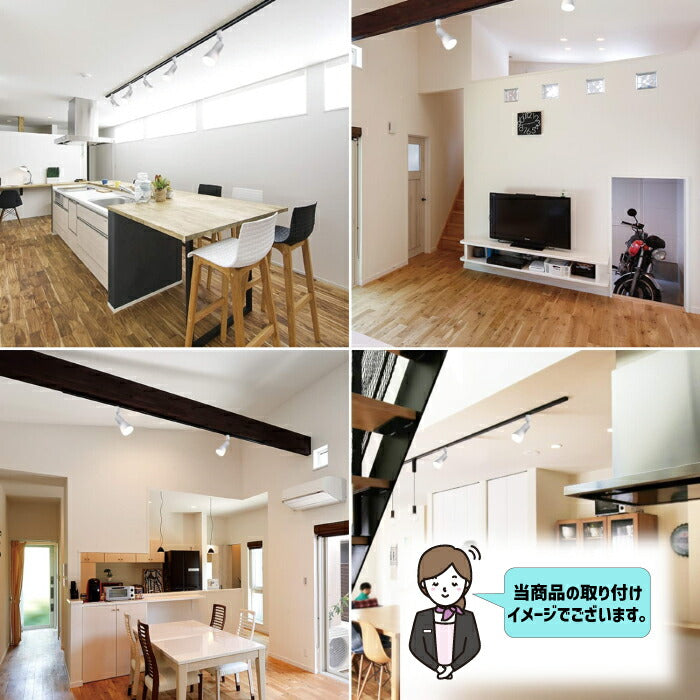 【3個セット】スポットライト ダクトレール E26口金 LED電球付 12W 75W形相当 調光調色 リモコン付
