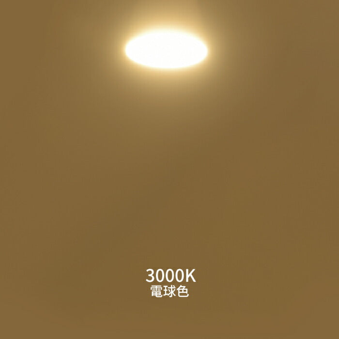 【3個セット】ダクトレール用 ダウンライト E26口金 LED電球付き 電球色 14W 100W形相当