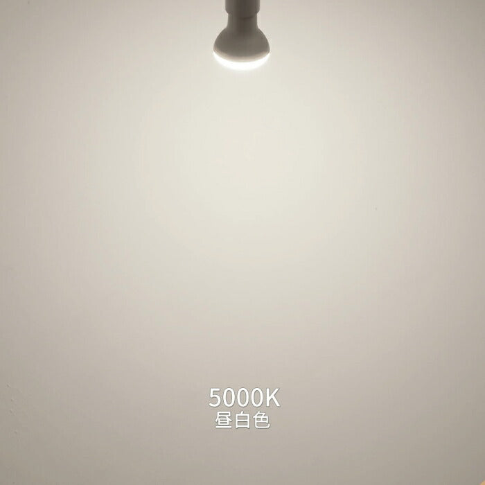 【2個セット】ダクトレール用 ダウンライト E26口金 LED電球付き 昼白色 6.5W 50W形相当