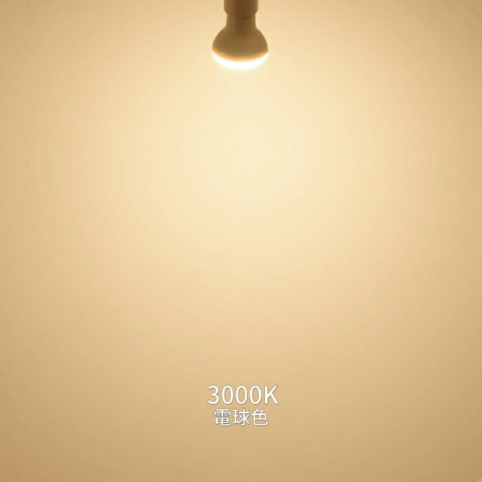 【2個セット】ダクトレール用 ダウンライト E26口金 LED電球付き 電球色 6.5W 50W形相当