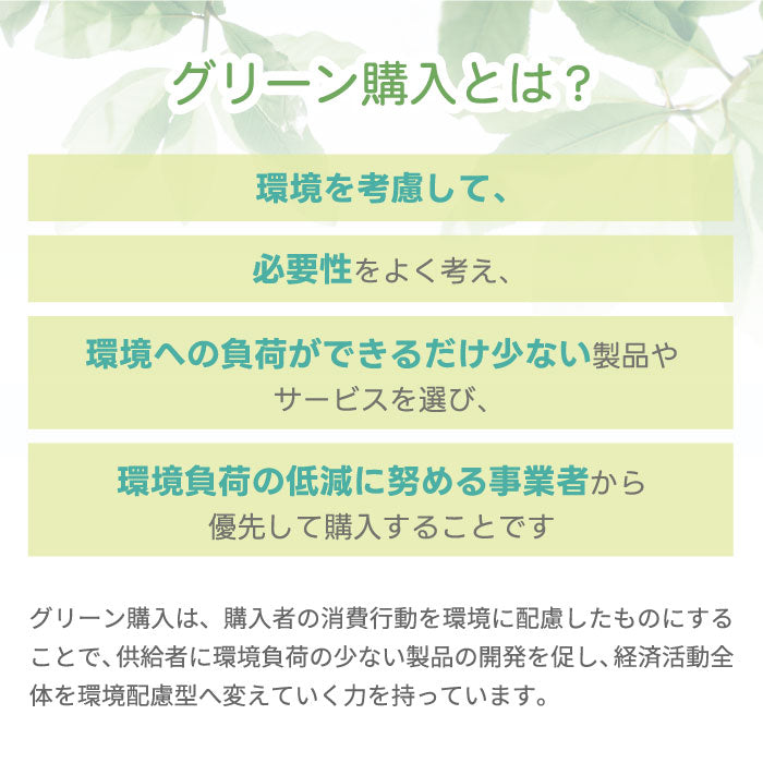 北欧風エコグリン壁掛け電波時計|選べる特典付・電池寿命5年・防災対応