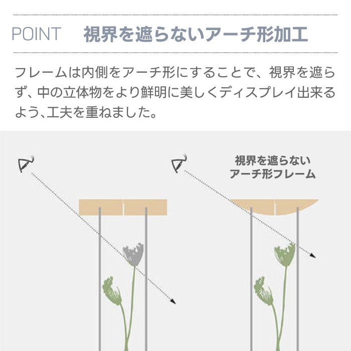 浮遊感が美しい国産ひのき使用の木製アートフレーム🌸透明立体額で花を飾る特典付インテリアギフト【fufua日本製】