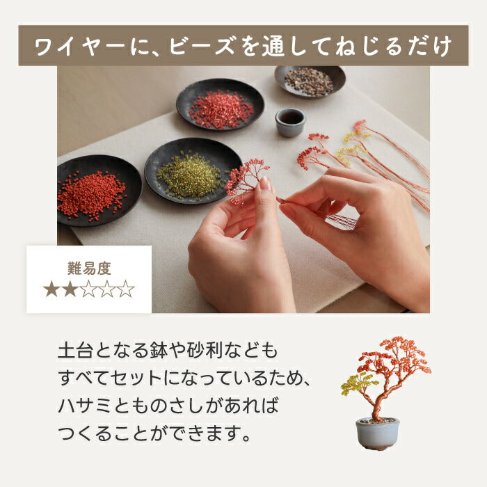 【楽天1位】ネジッテBONSAIキット 初心者OKのワイヤーアート盆栽 手作り体験に◎ おしゃれなインテリア＆知育クラフト