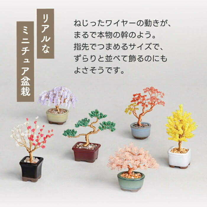 【楽天1位】ネジッテBONSAIキット 初心者OKのワイヤーアート盆栽 手作り体験に◎ おしゃれなインテリア＆知育クラフト