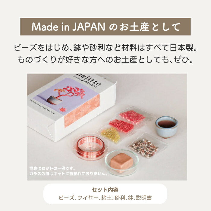 【楽天1位】ネジッテBONSAIキット 初心者OKのワイヤーアート盆栽 手作り体験に◎ おしゃれなインテリア＆知育クラフト