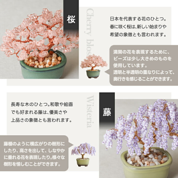 【楽天1位】ネジッテBONSAIキット 初心者OKのワイヤーアート盆栽 手作り体験に◎ おしゃれなインテリア＆知育クラフト