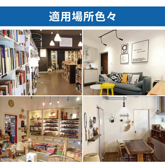 【2個セット】スポットライト ダクトレール用 電球付き LED電球 昼白色 E26 6W 40W形相当 ビーム電球 フレキシブルアーム