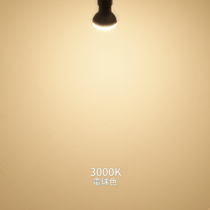 【6個セット】ダクトレール用 ダウンライト E26口金 LED電球付き 電球色 6.5W 50W形相当