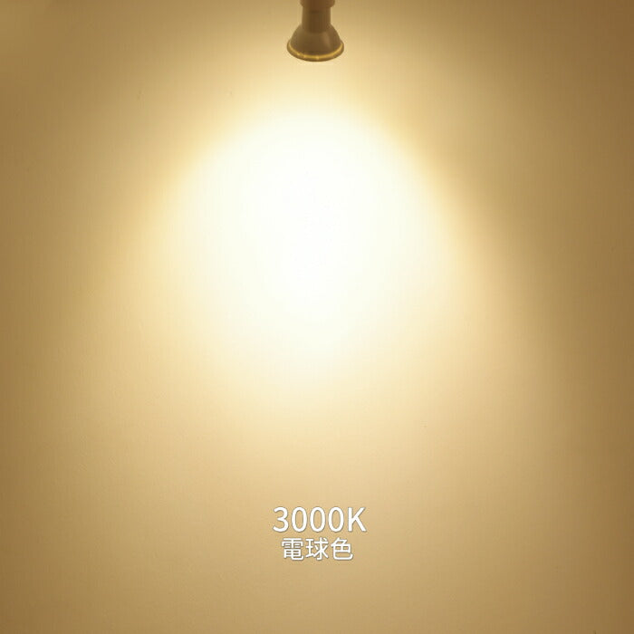 【2個セット】ダクトレール用 ダウンライト E26口金 LED電球付き 電球色 6W 40W形相当