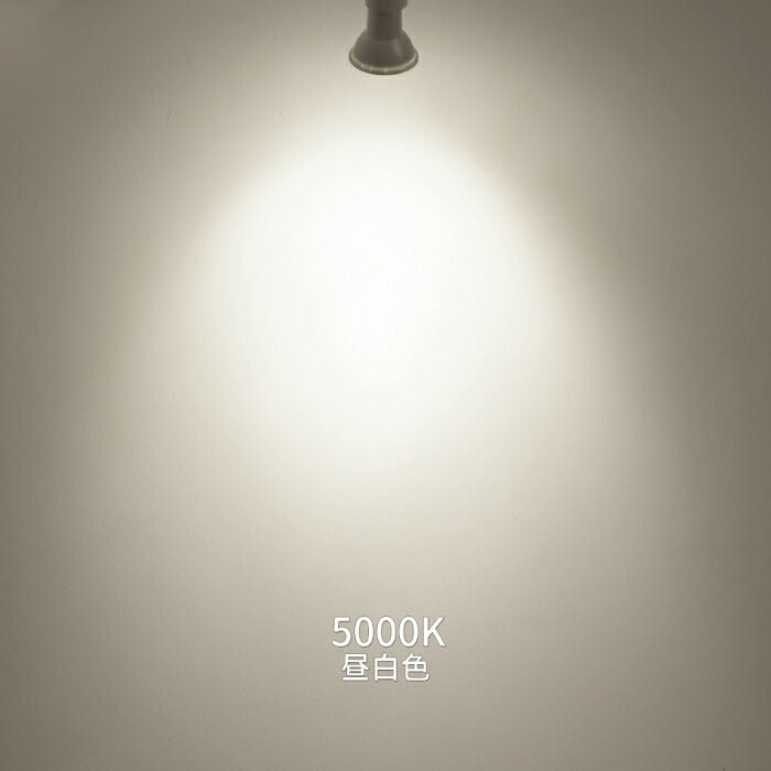 【6個セット】ダクトレール用 ダウンライト E26口金 LED電球付き 昼白色 6W 40W形相当