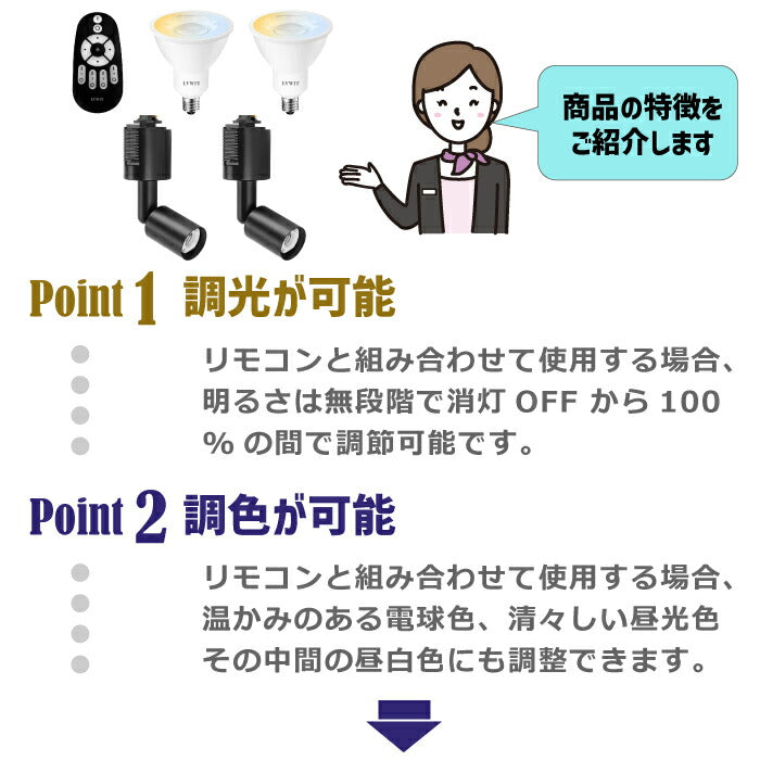 【2個セット】スポットライト ダクトレール用 E11口金 LEDランプ付き 調光調色 リモコン付き 6W 30W形相当