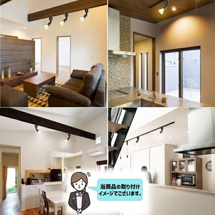 【2個セット】スポットライト ダクトレール用 E11口金 LEDランプ付き 調光調色 リモコン付き 6W 30W形相当