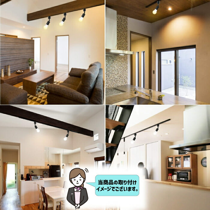 【2個セット】スポットライト ダクトレール用 E26口金 LEDランプ付き 調光調色 リモコン付き 8.3W 60W形相当 角度調節