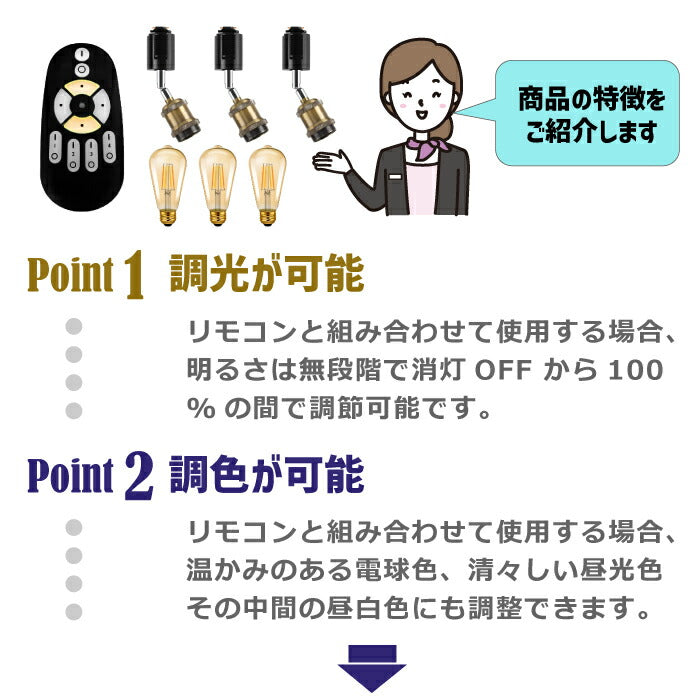 【3灯セット】ダクトレール用 ペンダントライト E26口金 LED電球付き 調光調色 リモコン付き エジソン電球 60W形相当