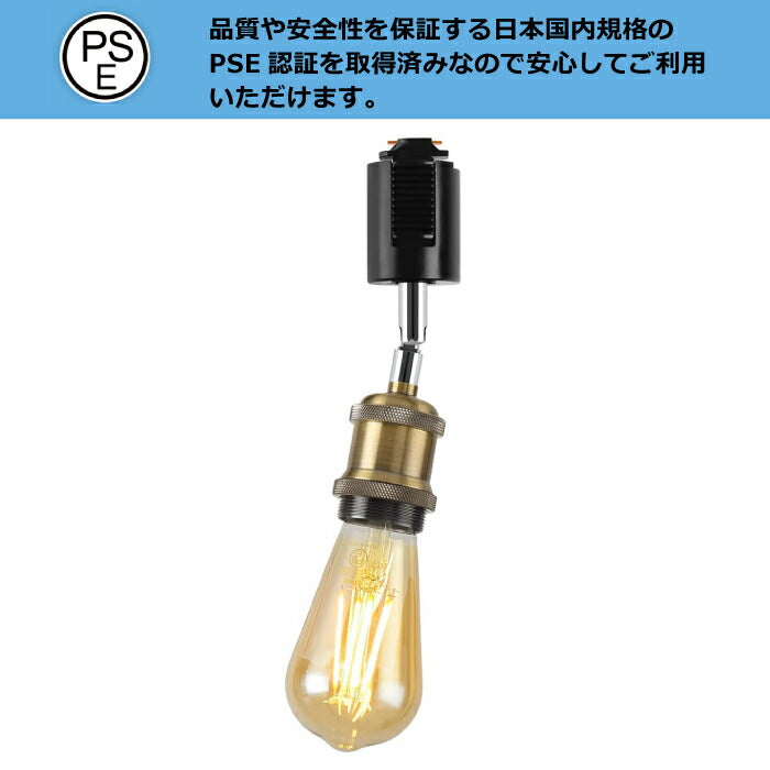 【3灯セット】ダクトレール用 ペンダントライト E26口金 LED電球付き 調光調色 リモコン付き エジソン電球 60W形相当