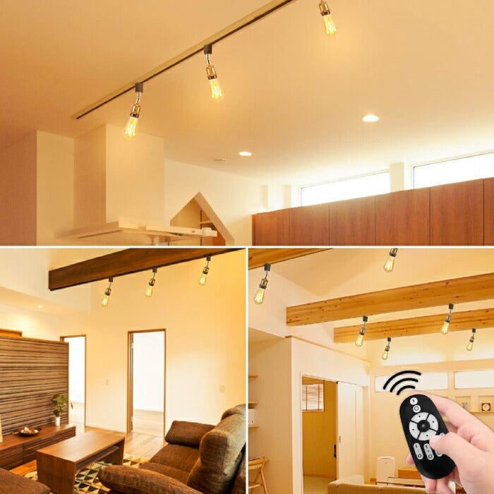【3灯セット】ダクトレール用 ペンダントライト E26口金 LED電球付き 調光調色 リモコン付き エジソン電球 60W形相当