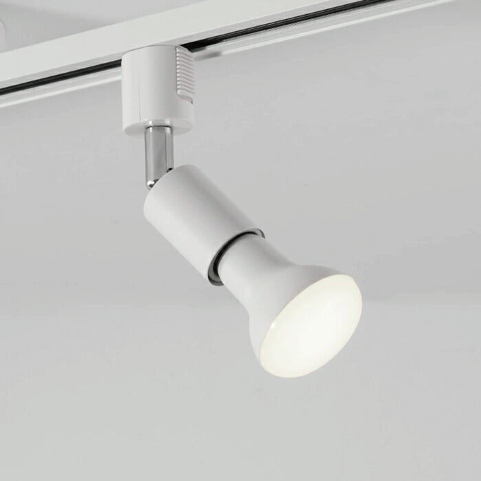 【2個セット】ダクトレール用 ダウンライト E26口金 LED電球付き 昼白色 6.5W 50W形相当