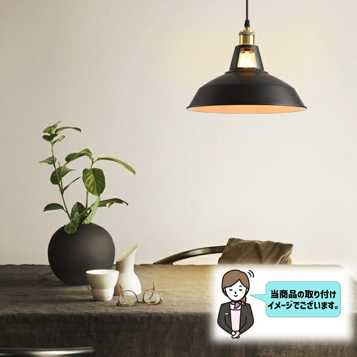 ペンダントライト ダクトレール E26口金 直径27cm LED電球付き 6W 60W形相当 電球色 エジソン電球