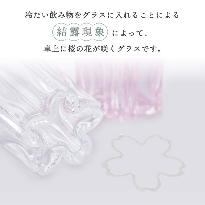 さくらさく グラス サケ 日本製 江戸硝子 おしゃれ 桜色 桐箱入り 80ml 結露で桜が咲くグラス コップ ガラス 酒器 日本酒 ウイスキー 焼酎 木箱  引き出物 結婚祝い お祝い 父の日 食器 プレゼント ギフト 記念日 退職祝い 新生活