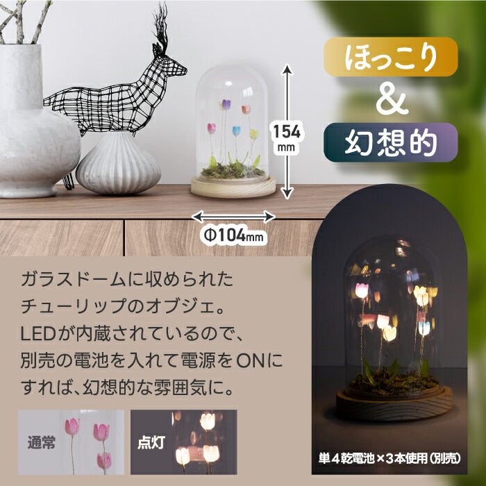 LUMO チューリップ ガラスドーム LEDライト付 卓上 インテリア 置物 コードレス 電池式 オブジェ インテリアライト 間接照明 かわいい フラワーライト 北欧風 ファンタジー 幻想的 癒し ナチュラル シンプル ギフト プレゼント 新生活