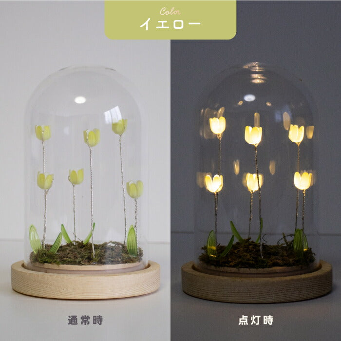 LUMO チューリップ ガラスドーム LEDライト付 卓上 インテリア 置物 コードレス 電池式 オブジェ インテリアライト 間接照明 かわいい フラワーライト 北欧風 ファンタジー 幻想的 癒し ナチュラル シンプル ギフト プレゼント 新生活