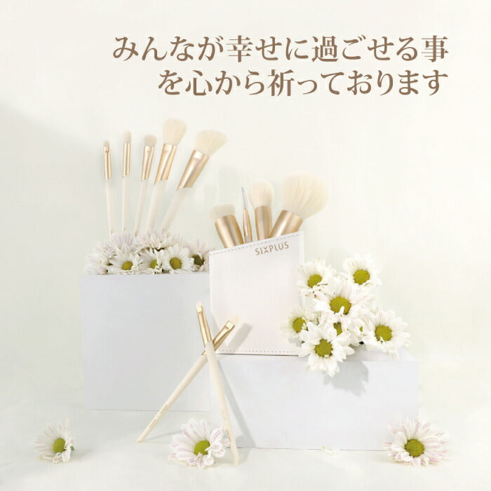 SIXPLUS X MATT ROSE メイクブラシ11本セット ポーチ付 化粧筆ギフト
